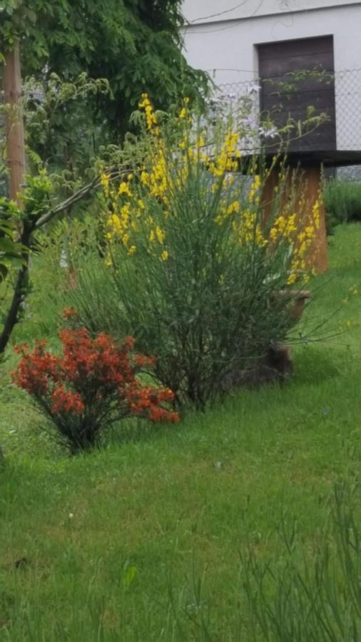 B & B Sentiero Valtellina Castello dell'Acqua المظهر الخارجي الصورة